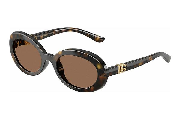 Zonnebril Dolce & Gabbana DX6007U 502/73