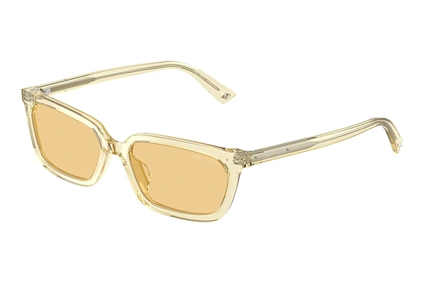Saulesbrilles Jimmy Choo JC5050U 5083/8