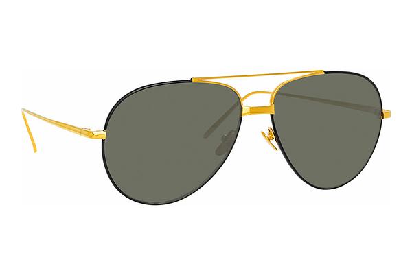 Lunettes de soleil Linda Farrow LFL817 C15