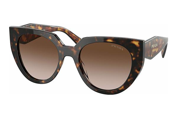 Sunglasses Prada PR 14WS 2AU6S1