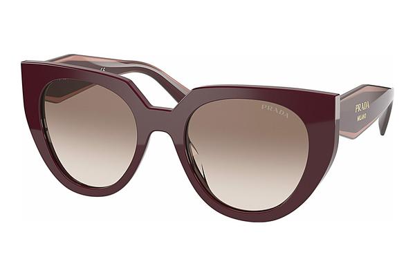 Sunglasses Prada PR 14WS VIY1L0