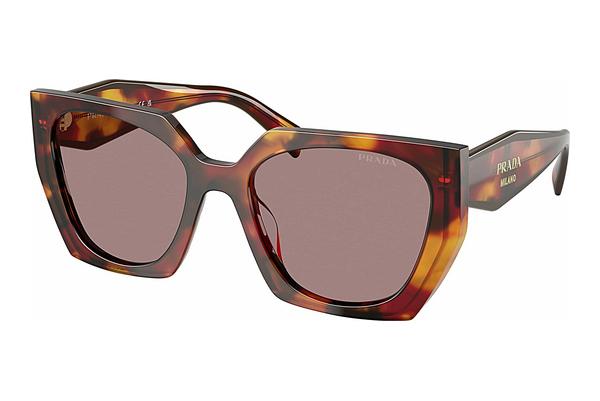 Sunglasses Prada PR 15WS 22A20I