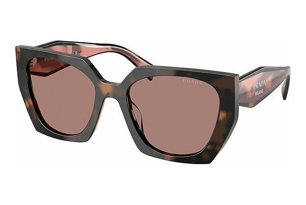 Sunglasses Prada PR 15WS 23A60B