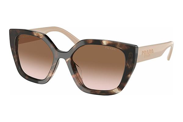 Sunglasses Prada PR 24XS 07R0A6