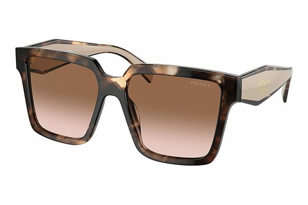 Sunglasses Prada PR 24ZS 07R0A6