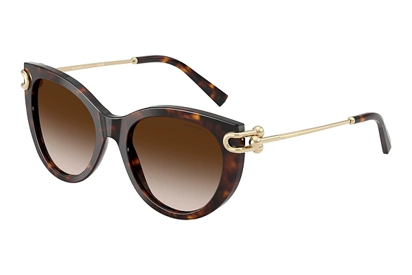 Päikeseprillid Tiffany TF4232 80153B