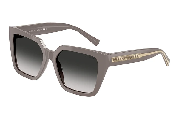 Päikeseprillid Tiffany TF4235 84013C