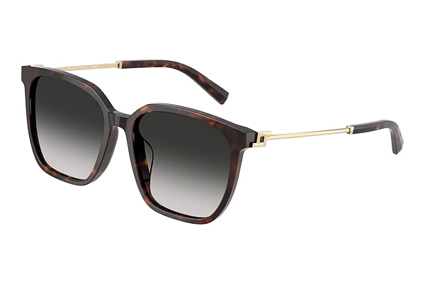 Päikeseprillid Tiffany TF4244D 80153C