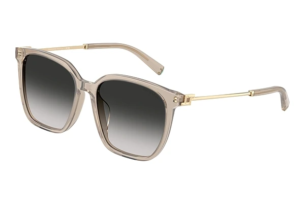 Päikeseprillid Tiffany TF4244D 82503C