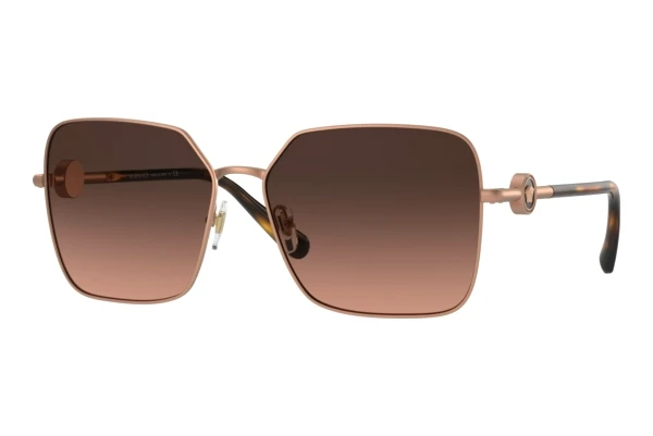 Solglasögon Versace VE2227 1466G9