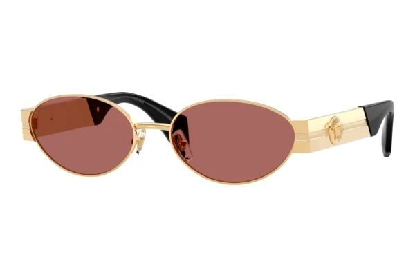Aurinkolasit Versace VE2301 152369
