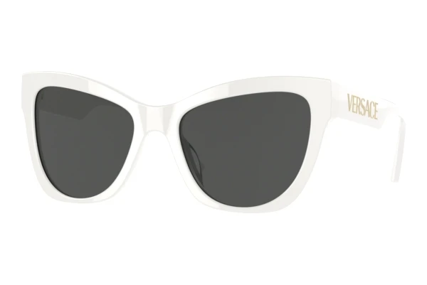 Ochelari de soare Versace VE4417U 314/87