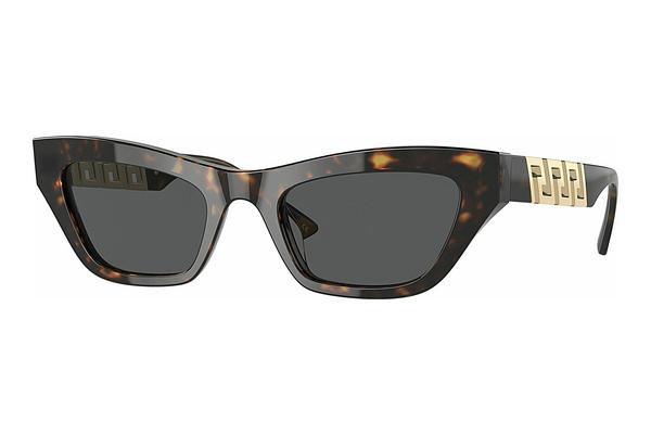 Sunglasses Versace VE4419 108/87