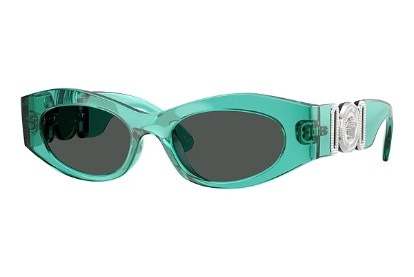 Aurinkolasit Versace VE4480U 552987