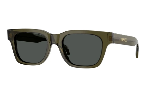 Solglasögon Versace VE4486 554287