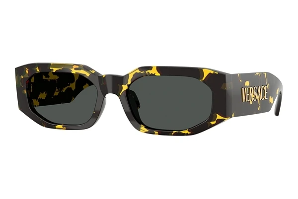 Päikeseprillid Versace VE4489U 552887