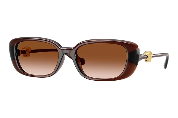 Aurinkolasit Versace VE4504D 533213