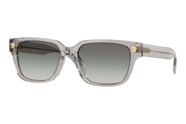 Ochelari de soare Versace VE4513D 593/11