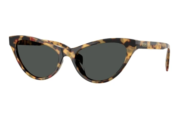 Solglasögon Versace VE4522U 777/87