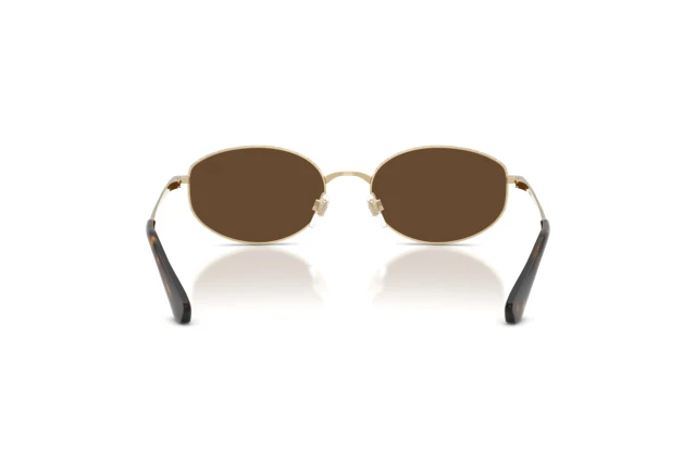Burberry BE3169 110973 Sunglasses Gold Oval Frame, Brown Lenses Sunglasses Burberry BE3169 110973 55-18 Light Gold  main image 4