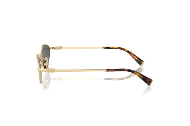 miu Sunglasses Miu Miu Aube MU A51S ZVN10P 75-14 Pale Gold | Visiofactory