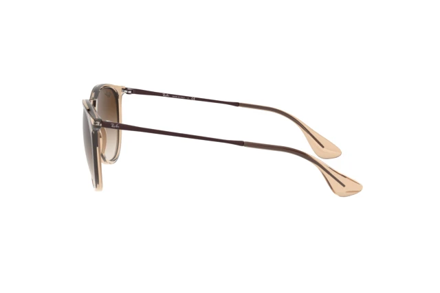 Ray-Ban ERIKA RB 4171 651413