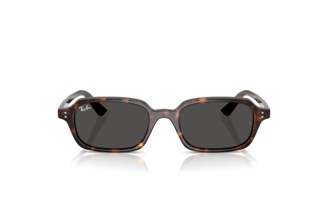 Ray-Ban ZURI RB 4455 135987