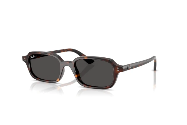 レプティサン Ray-Ban-RB4455-135987-d030.jpg