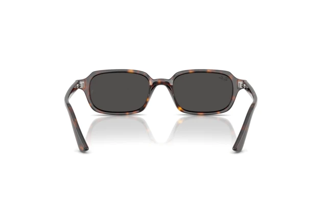 Ray-Ban ZURI RB 4455 135987