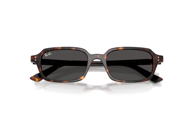 Ray-Ban ZURI RB 4455 135987