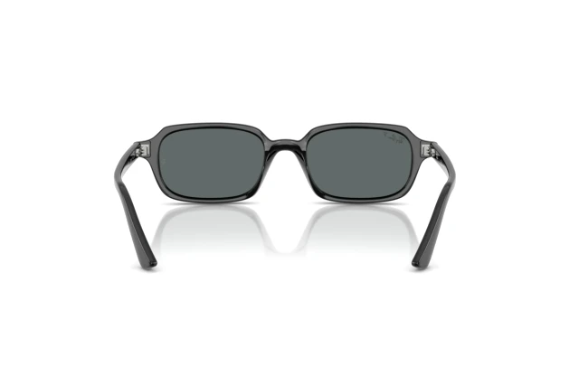 Ray-Ban ZURI RB 4455 667781