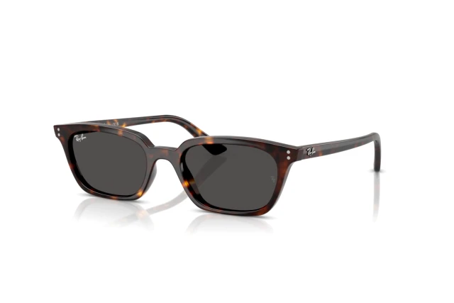 Ray-Ban-RB4456-135987-d030.jpg