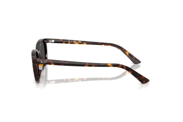 Ray-Ban ZAYA RB 4456 135987