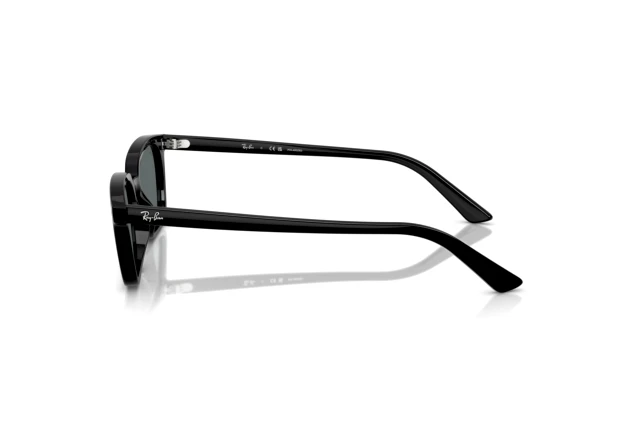 Ray-Ban ZAYA RB 4456 667781